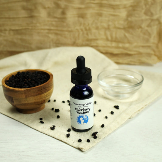 Elderberry Tincture, 1oz