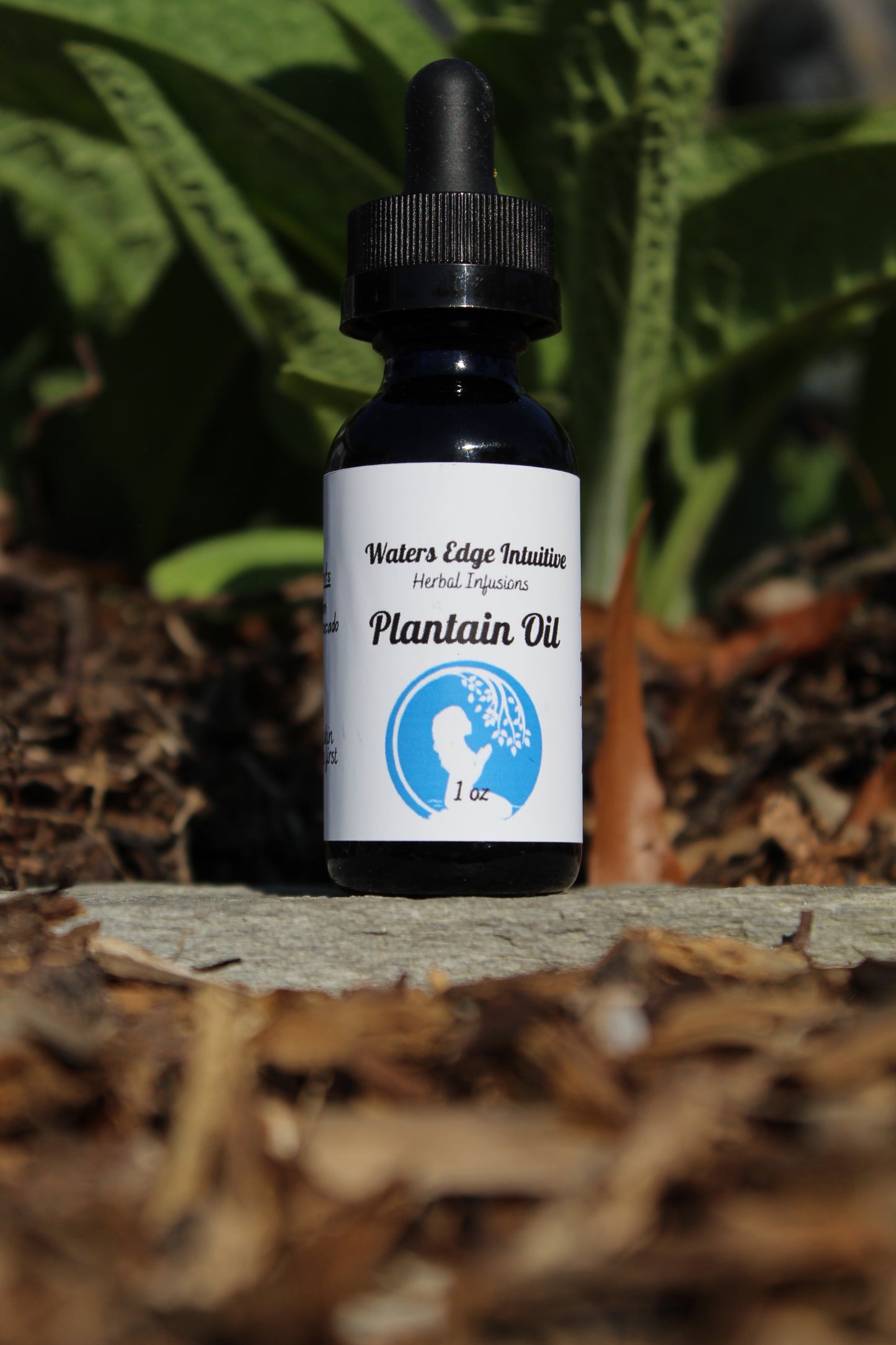 Plantain Oil